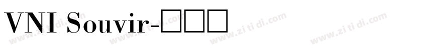 VNI Souvir字体转换